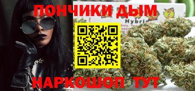 индика Будённовск