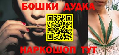индика Будённовск