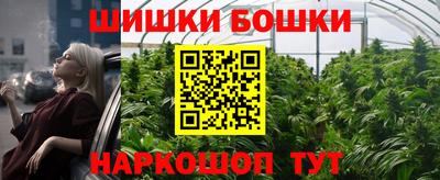 индика Будённовск