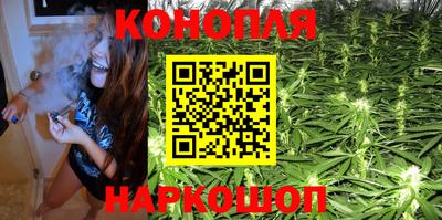 индика Будённовск