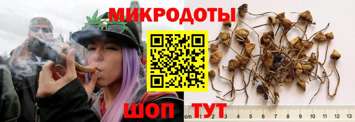 где купить наркотик  Галлюциногенные грибы GOLDEN TEACHER  Вход с VPN  Галлюциногенные грибы мухоморы  Лянтор 